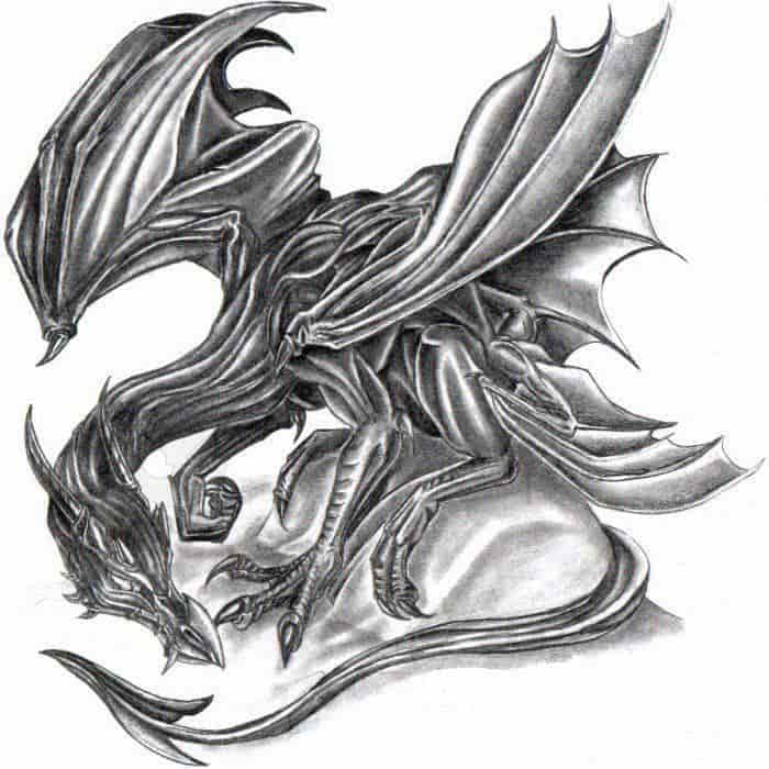 grey dragon bitte bewerten  angelofhope  fanarts